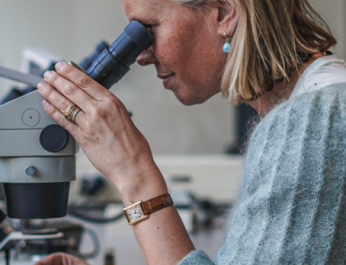 Nieuwe cursus Edelsteenkunde DGI start 7 september
